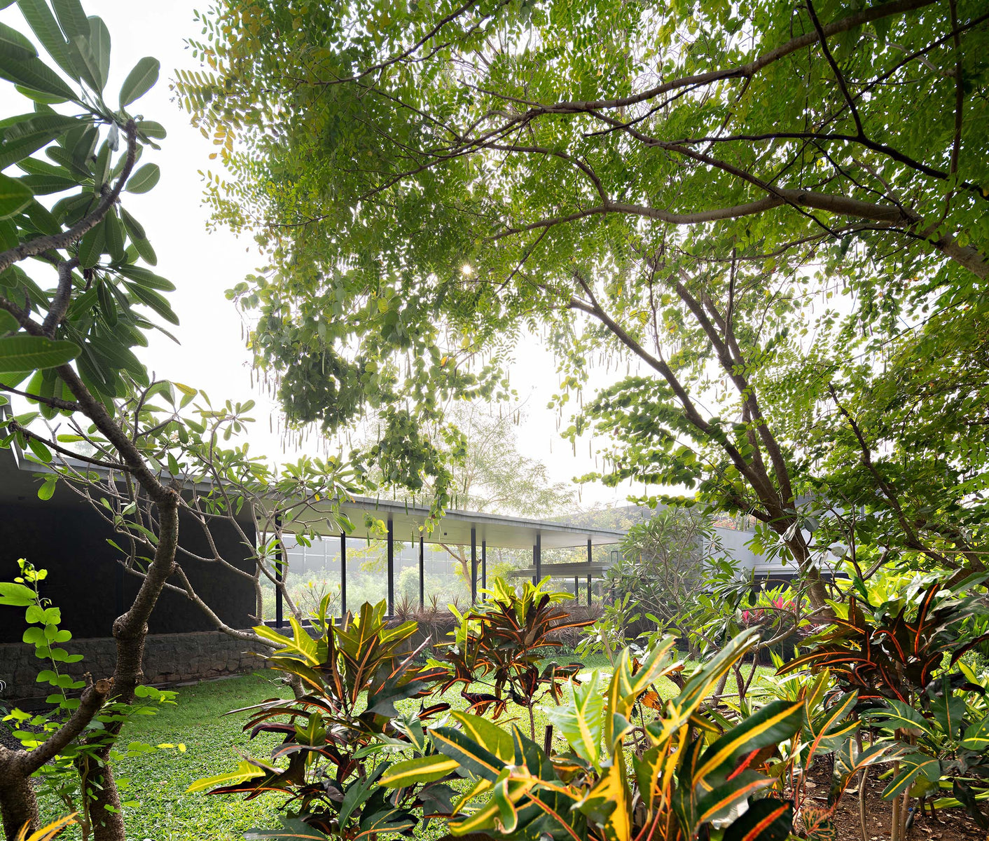 House glimpsed through frangipani and crotons, its flat roof low beneath the tree canopy