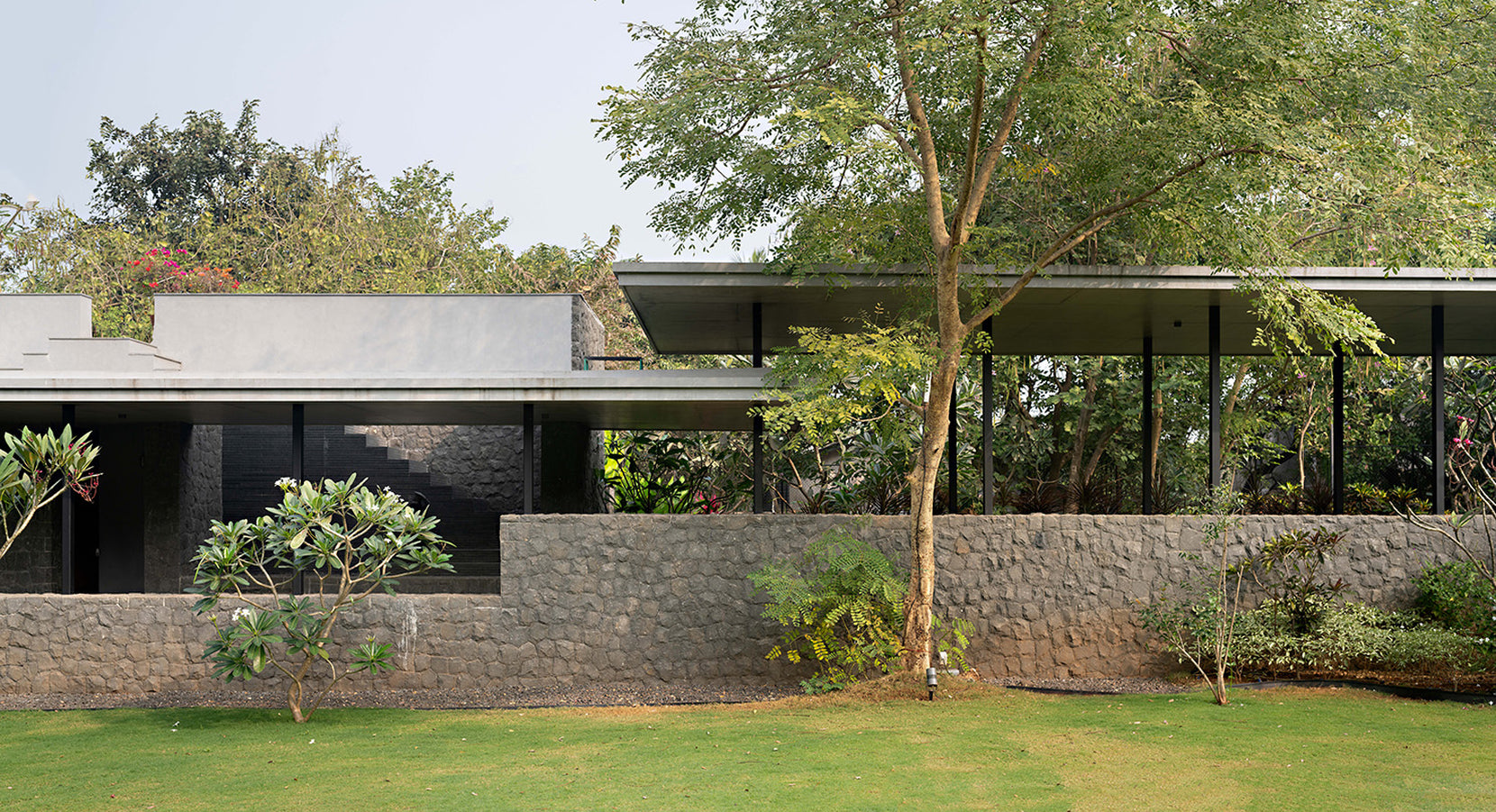 Basalt walls and a thin cantilevered roof stepping across the lawn, tree in the foreground