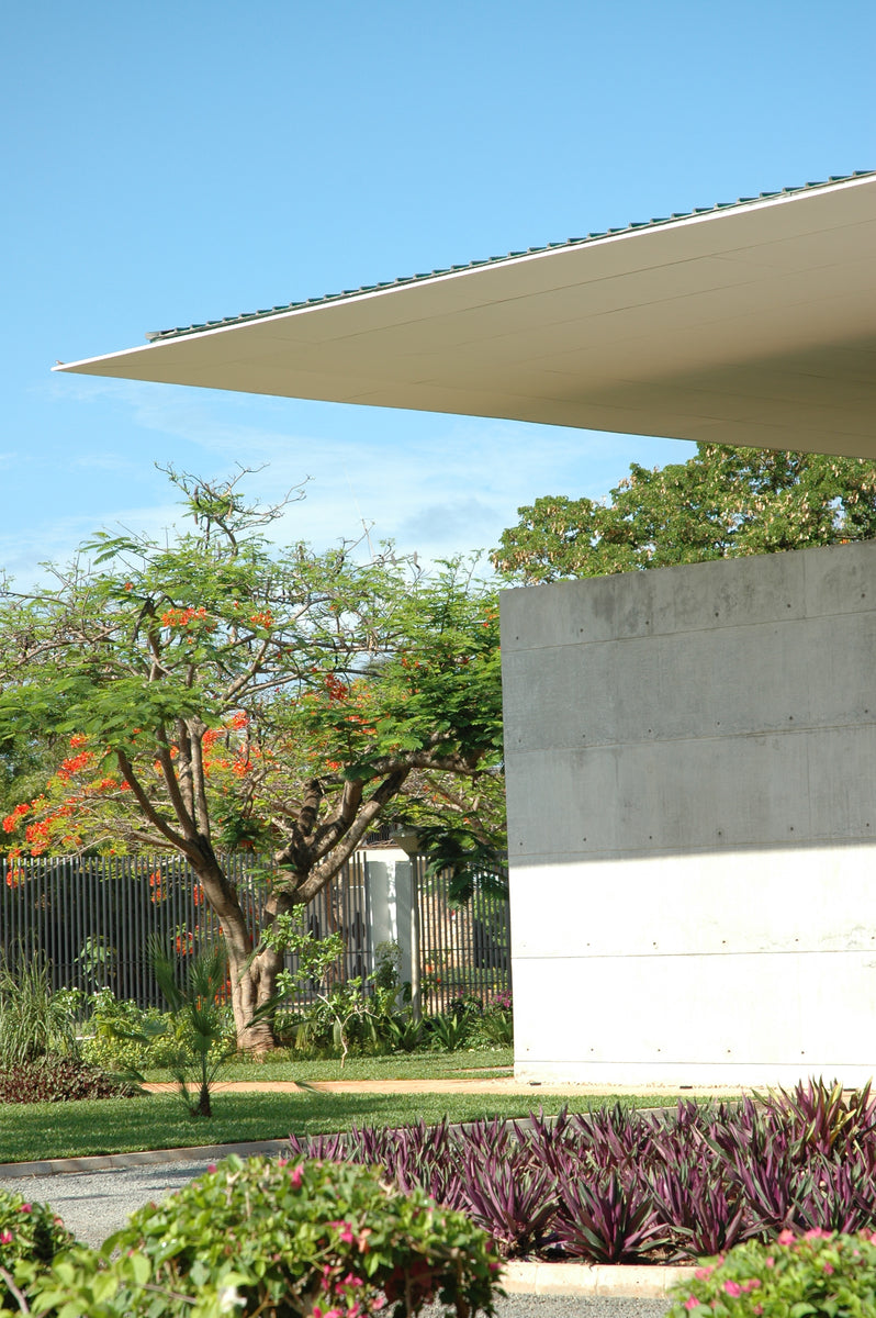 Roof edge cutting across the sky above a flowering flame tree and board-marked concrete