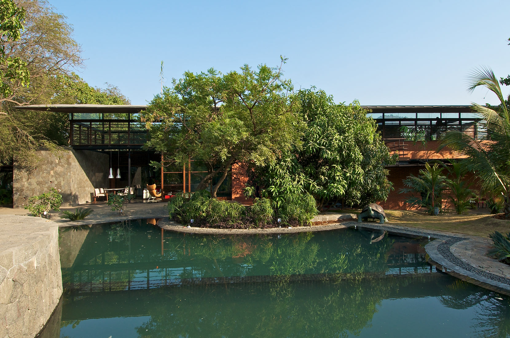 Long roof of the house behind mango trees, seen across the free-form swimming pool