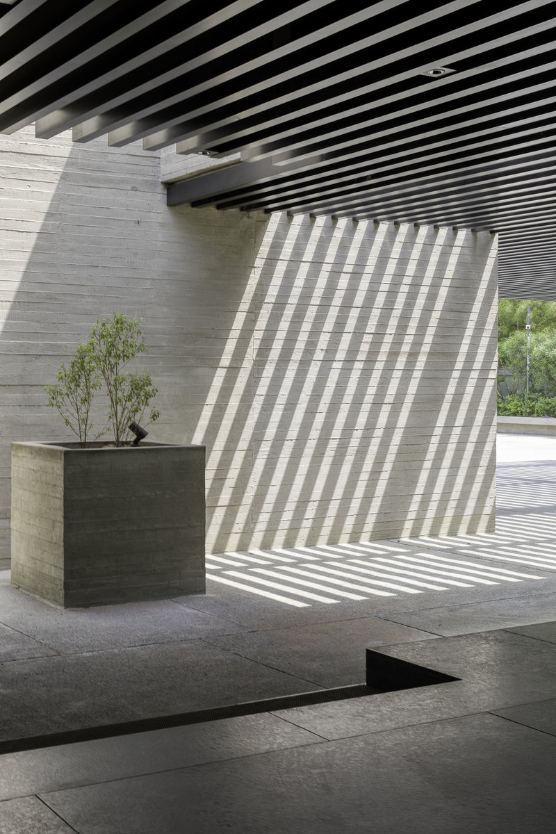 Shadows from the timber louvred soffit striping concrete beside a cast concrete planter