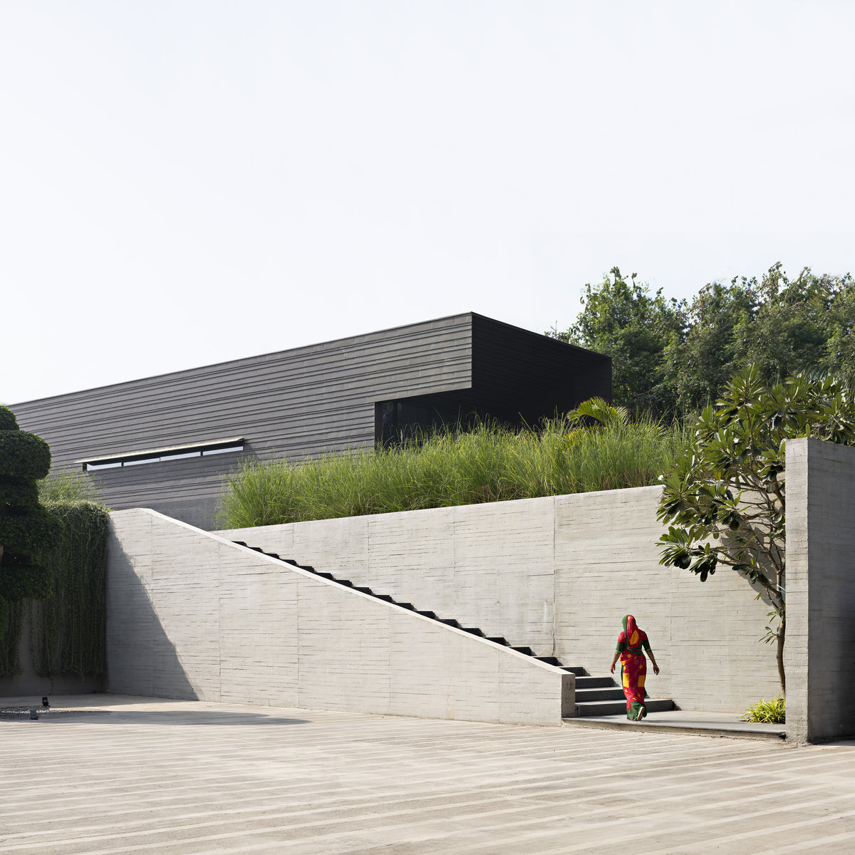 Woman climbing the stair cut into the concrete retaining wall below the planted terrace