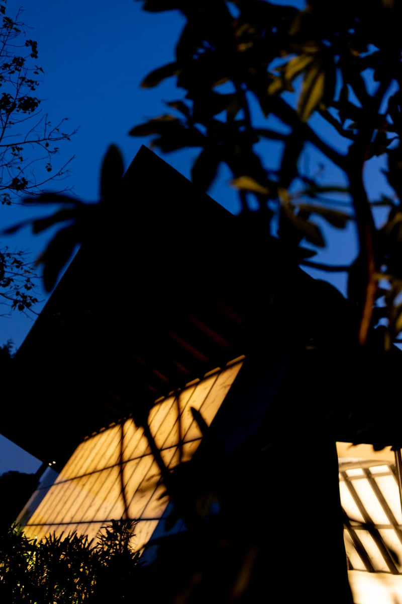 Glowing marbled glass panel below the tilted roof at dusk, seen through frangipani branches