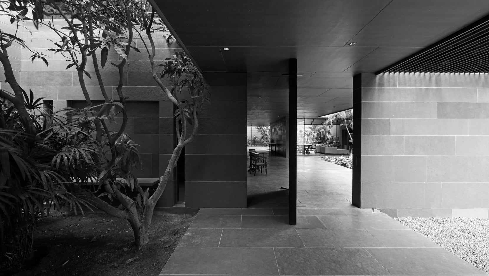 Courtyard tree against stone walls, with the dining room glimpsed through the passage beyond