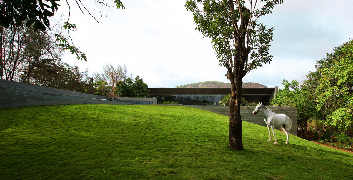Gomati house at Malavli seen across a grassy mound, a white horse grazing beneath a tree