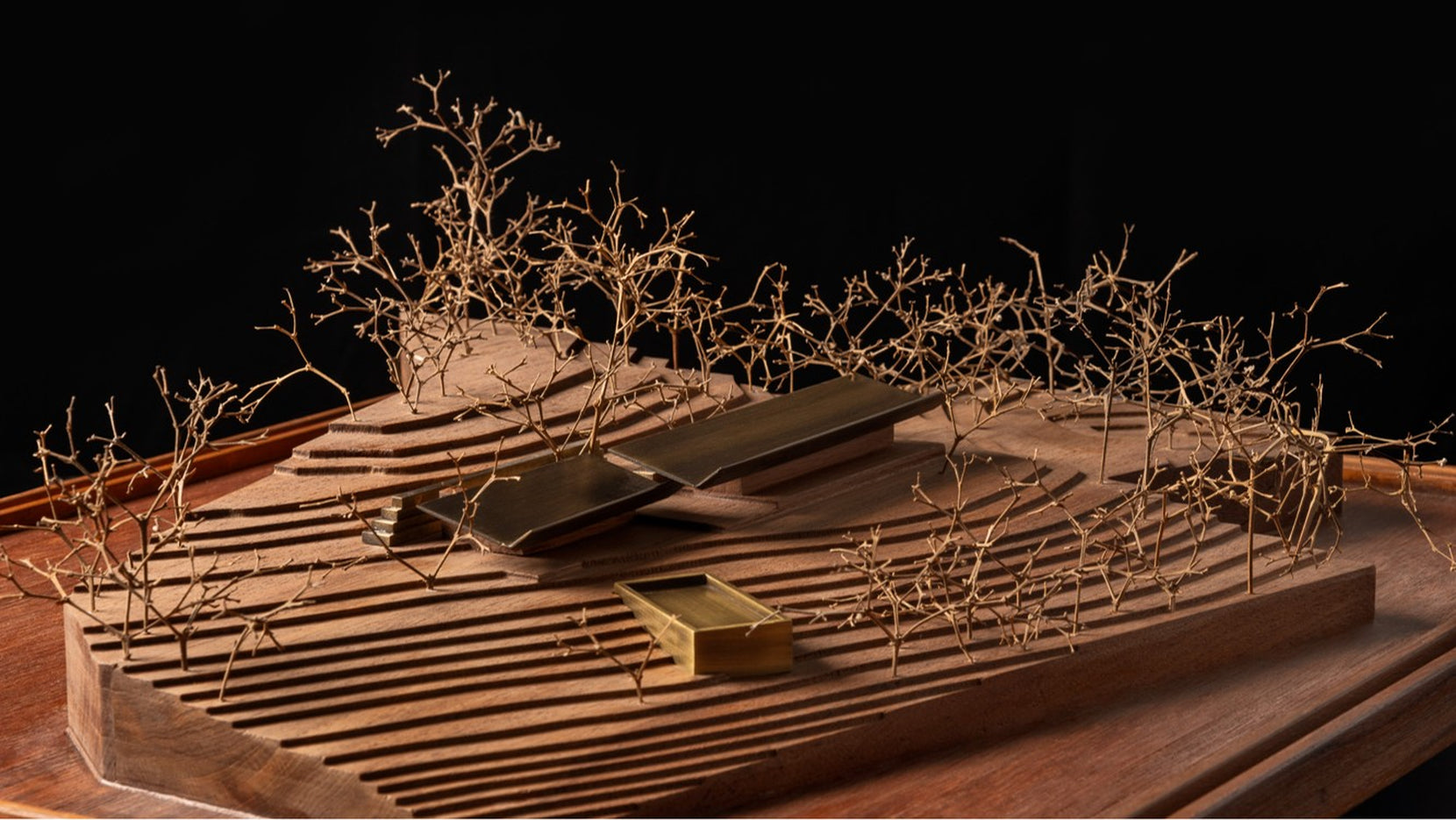 Study model at an angle, the linear house and brass pool on a ridged timber landform