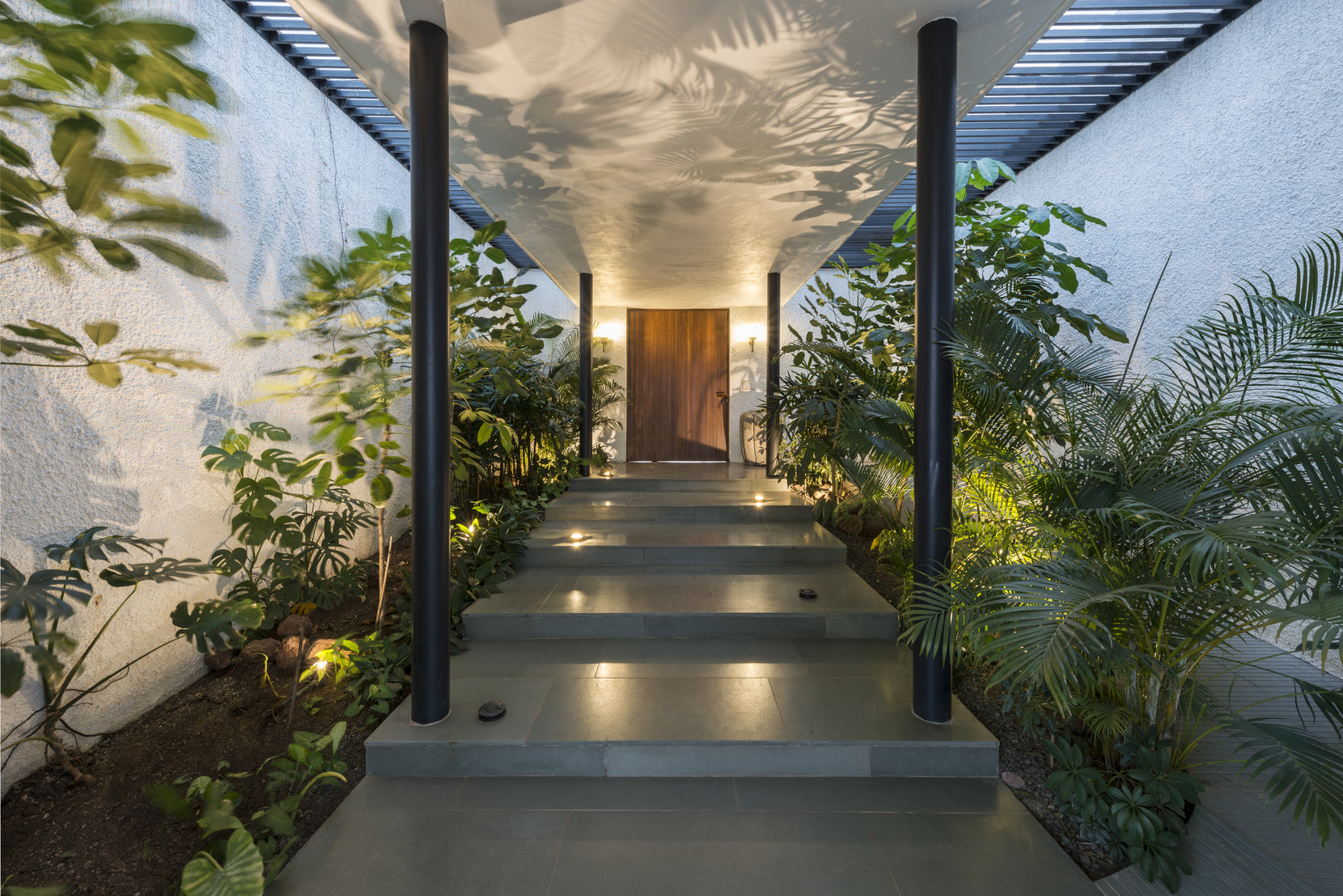 Planted entrance walk under a pergola, stone steps leading to the teak front door