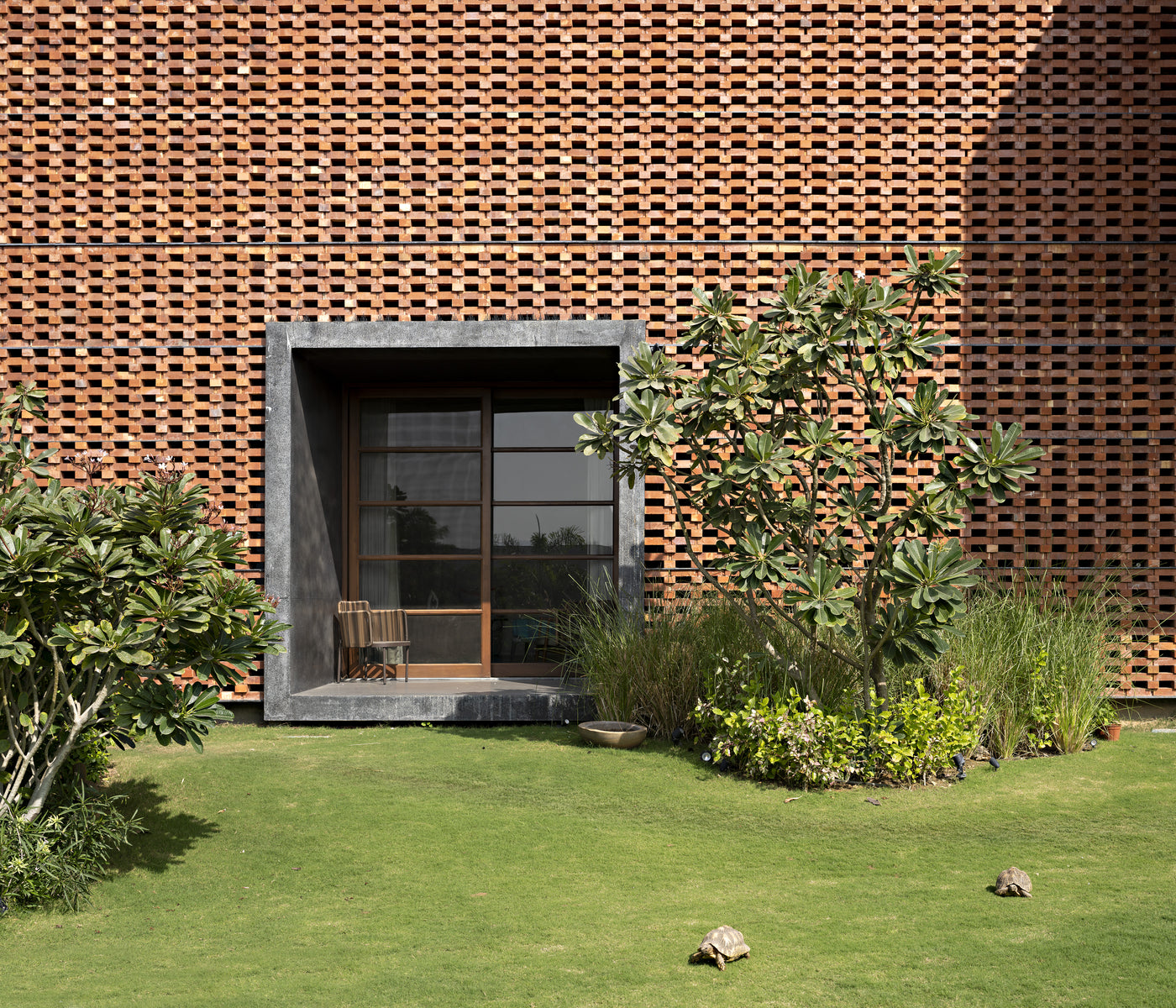 Concrete-lined window recess set into the brick jaali, with tortoises crossing the lawn
