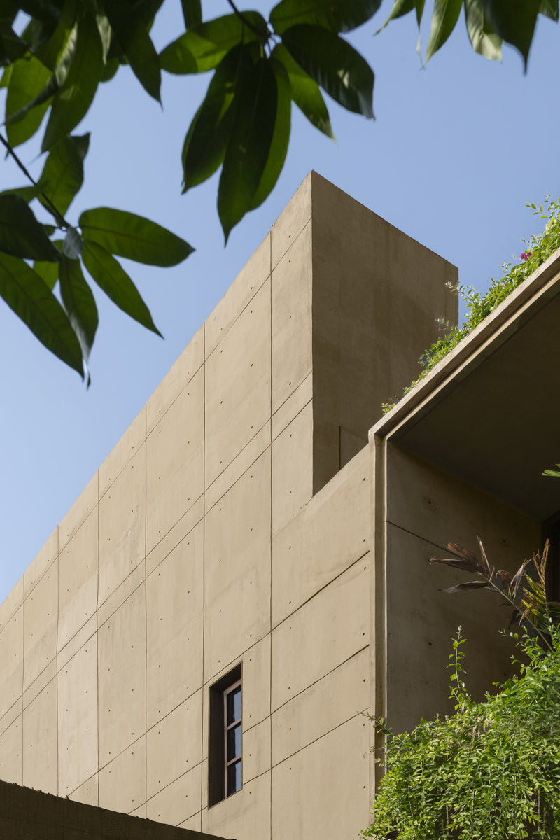 Coloured concrete facade meeting the sky at Kasaya, with a slim timber window and planting at roof level