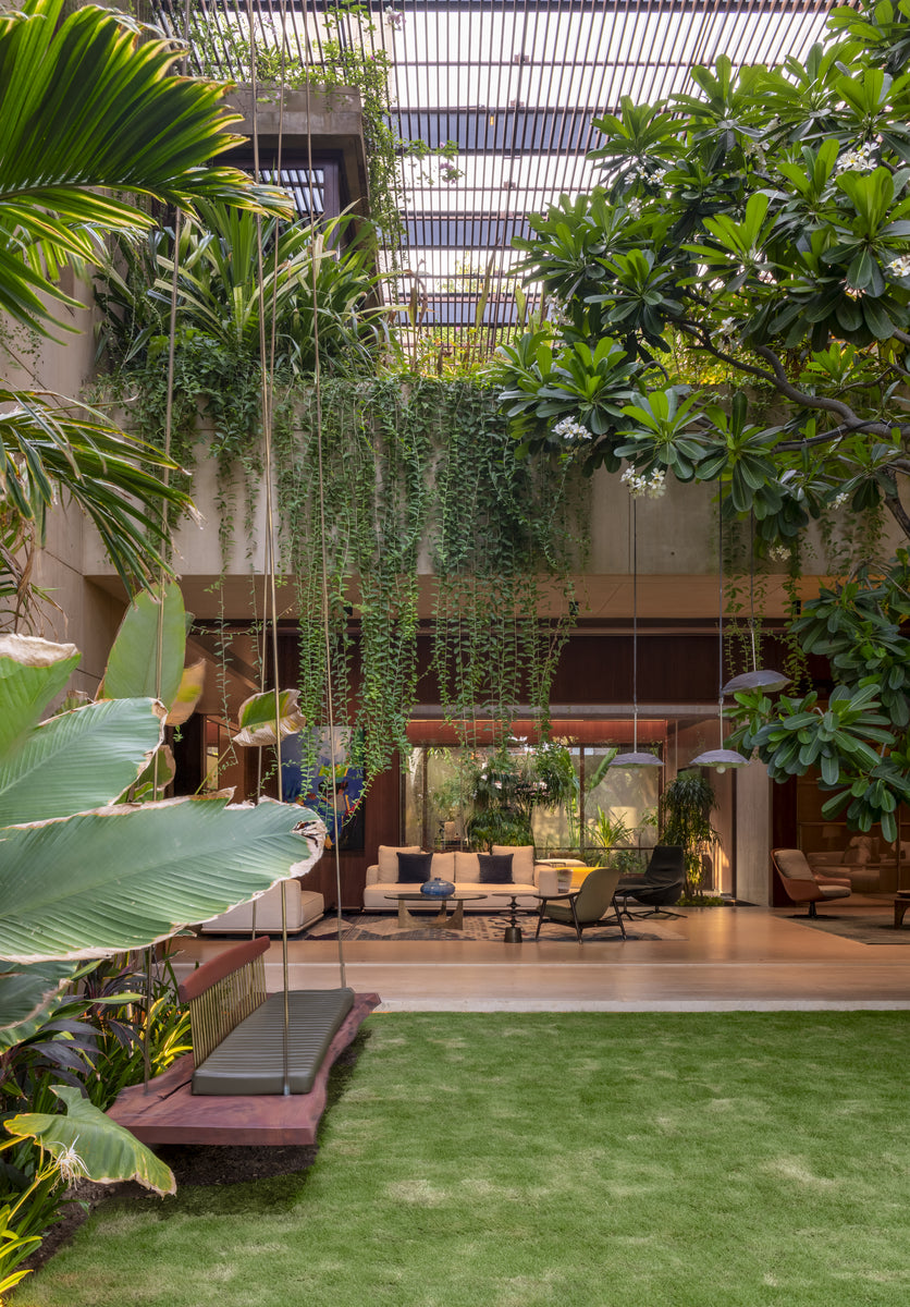 Traveller's palm and trailing string-of-pearls framing the courtyard swing and lawn