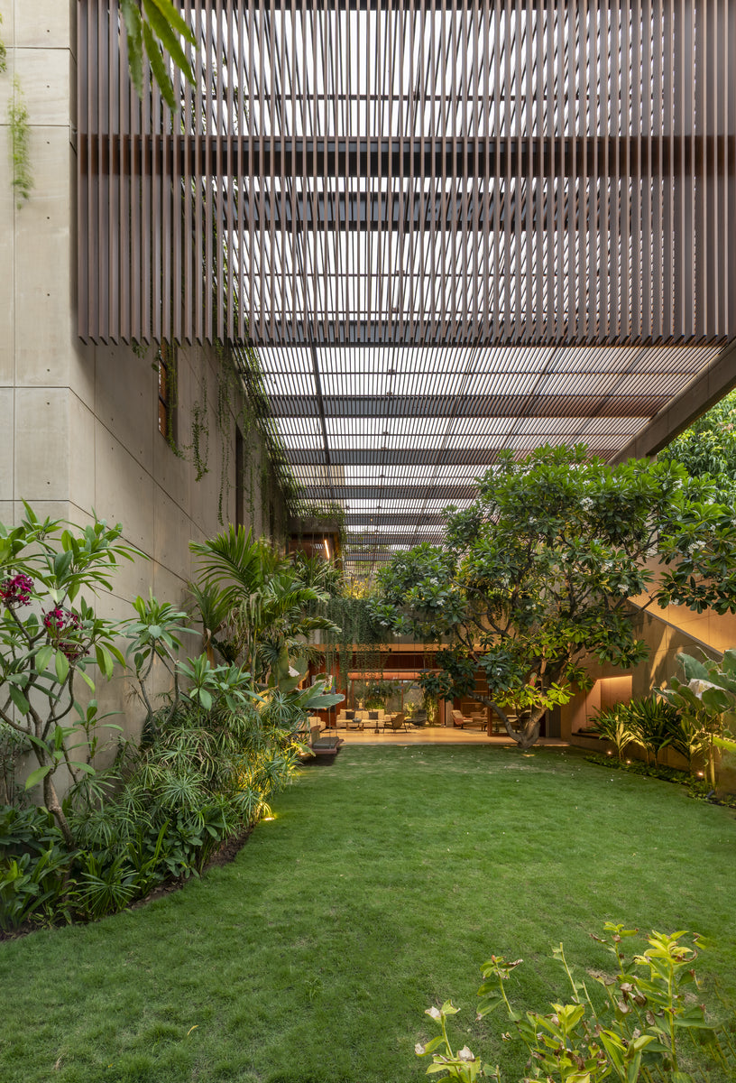 Side garden under a deep timber louvre pergola, frangipani and lawn leading to the seating pavilion