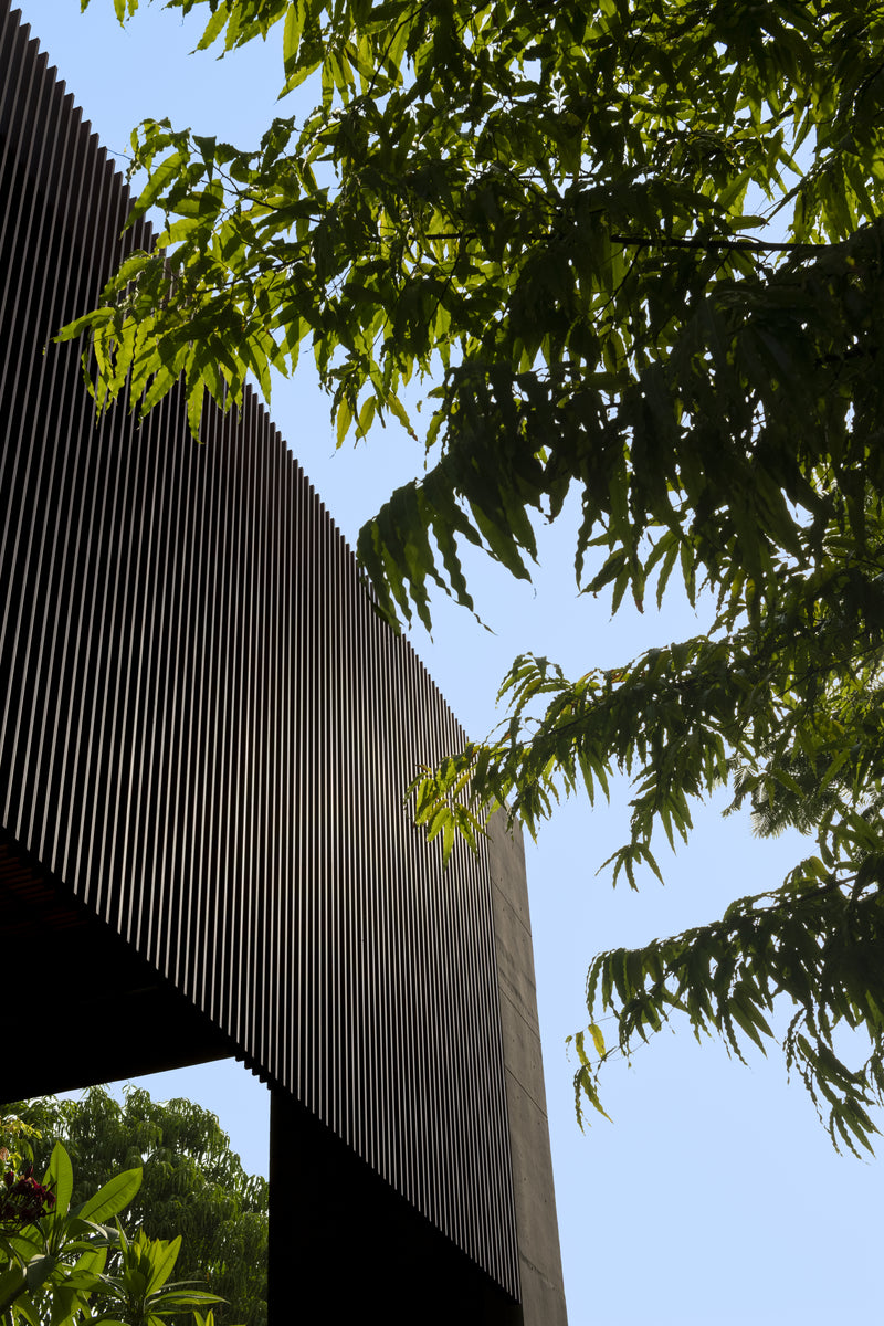 Timber louvre screen seen from below, silhouetted against leaves and clear sky