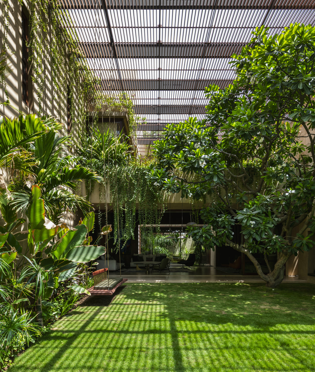 Frangipani tree in the courtyard, pergola shadows striping the lawn beside the swing