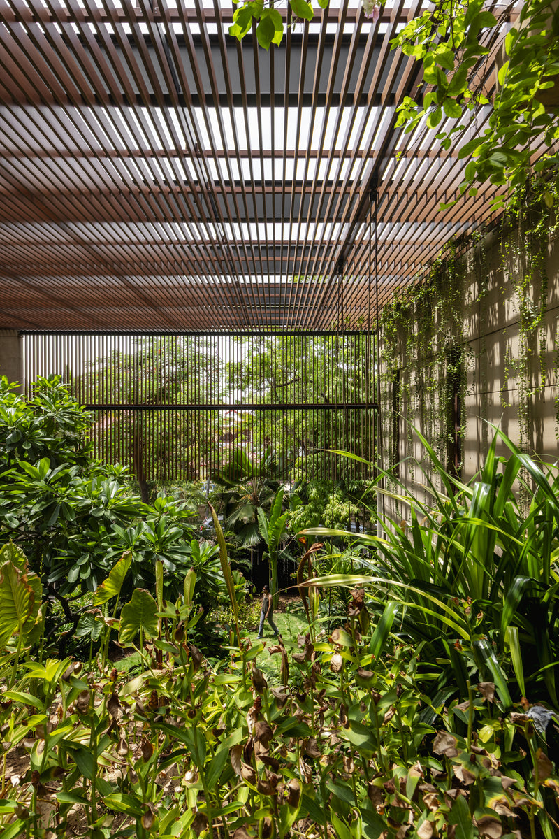 Densely planted court beneath a timber pergola, vertical screens closing the far end