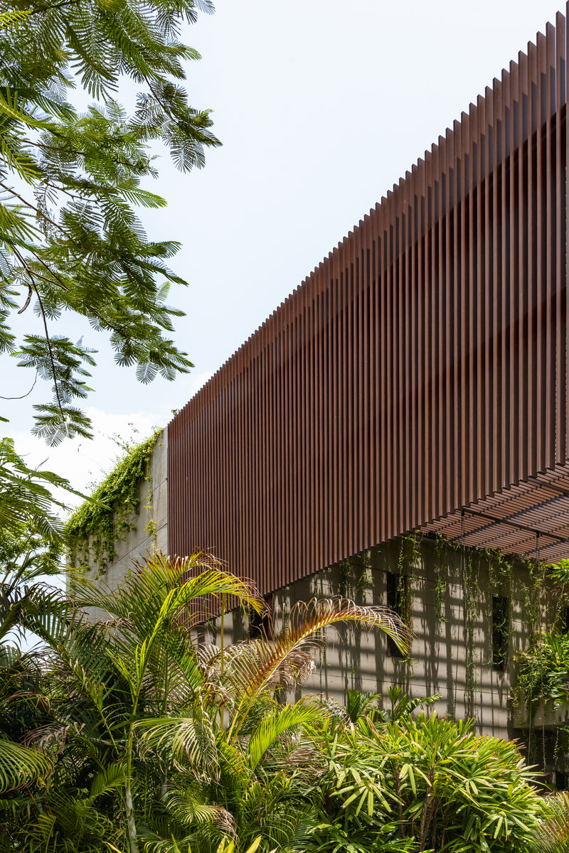Louvred upper volume cantilevered over the garden, palm fronds in the foreground