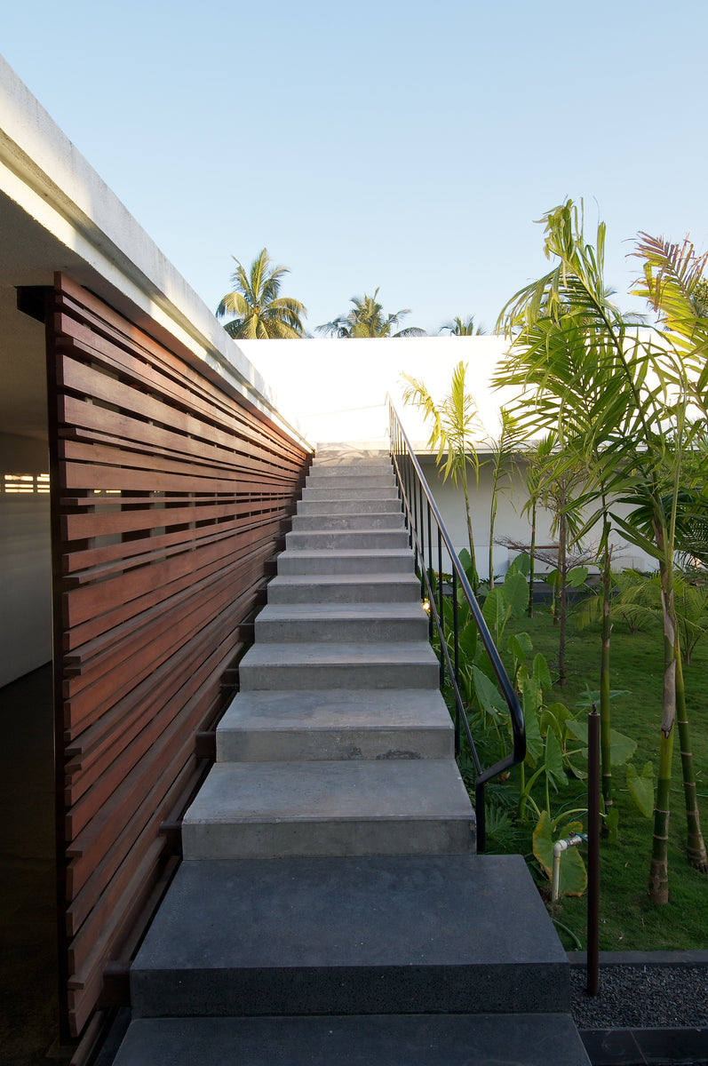 Concrete stair climbing beside a timber slat screen, coconut palms above the roofline