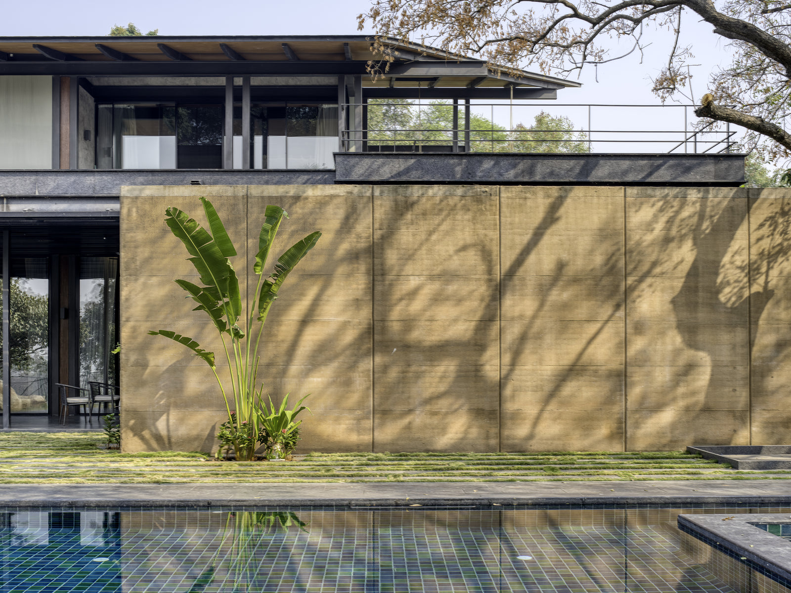 Rammed earth wall shadowed by branches, a broad-leaved plant at its base above the pool