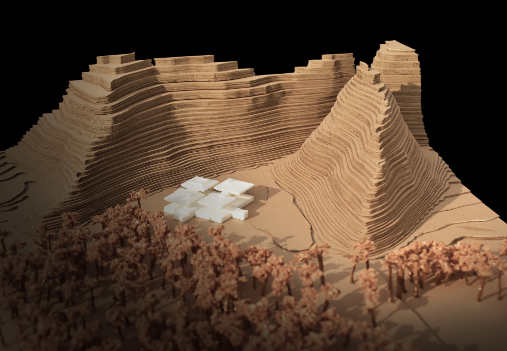 Physical study model showing the house against laminated contour cliffs and a modelled grove