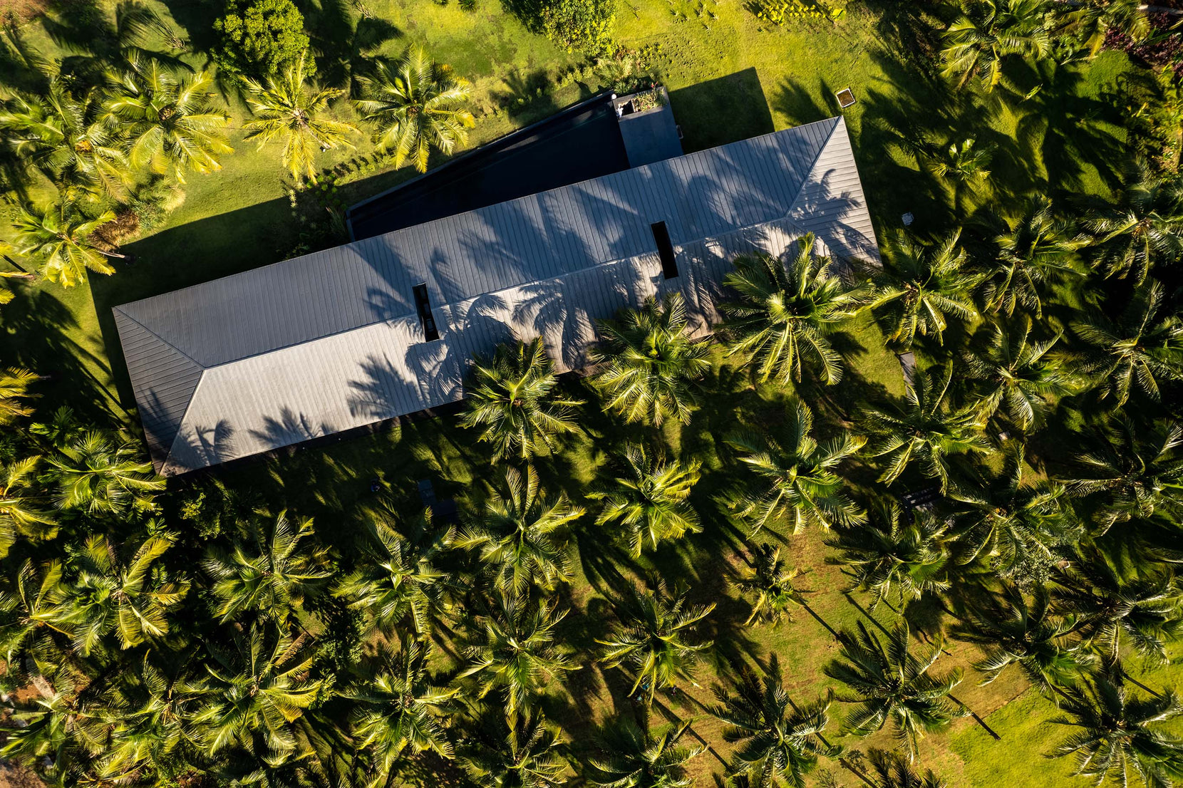 Aerial looking straight down on Parikrama's ridged metal roof among dense coconut palms