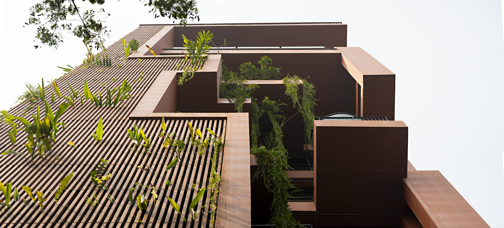 Looking up at cantilevered terracotta volumes and timber louvres with trailing planting against a white sky