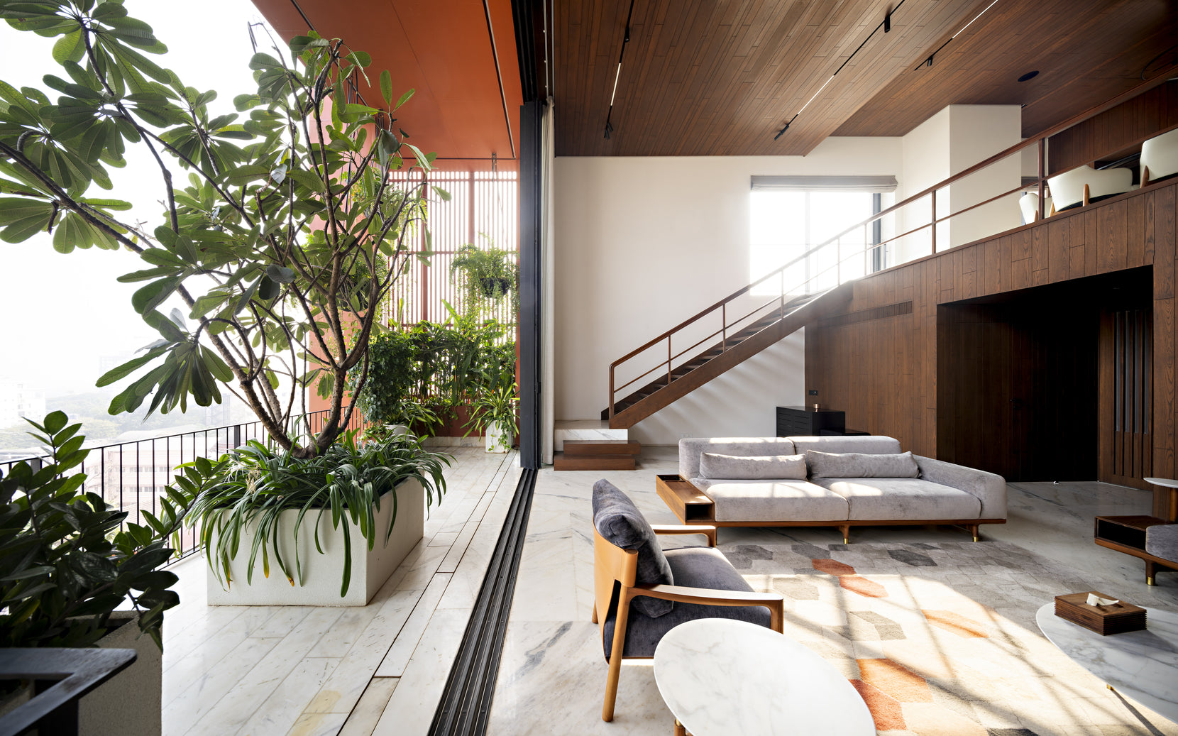 Frangipani in a raised planter on marble floors, timber soffit overhead and a stair to the upper level