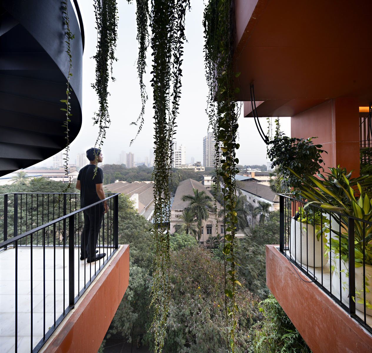 Man on a cantilevered balcony beneath curtains of trailing creeper, Mumbai rooftops beyond