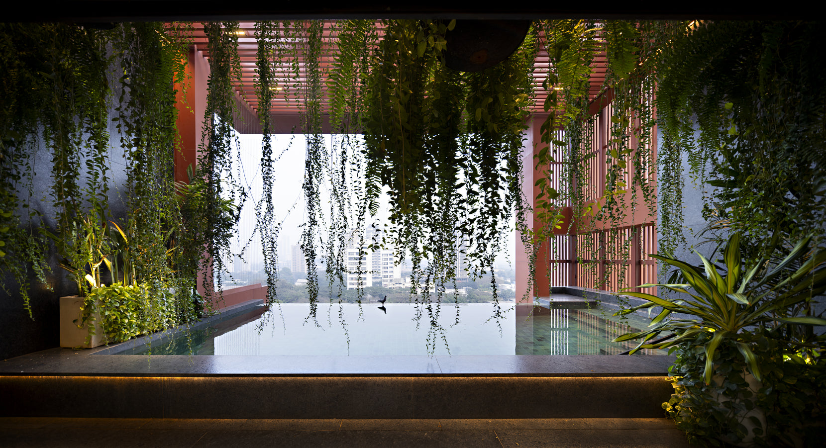 Plunge pool under trailing greenery, framed by terracotta louvred screens