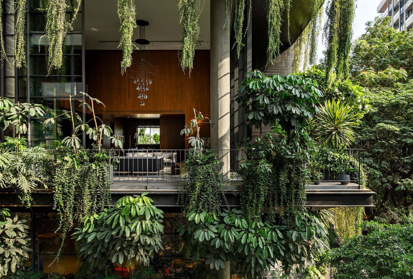 Terrace curtained with trailing plants, a teak-lined room and chandelier visible behind