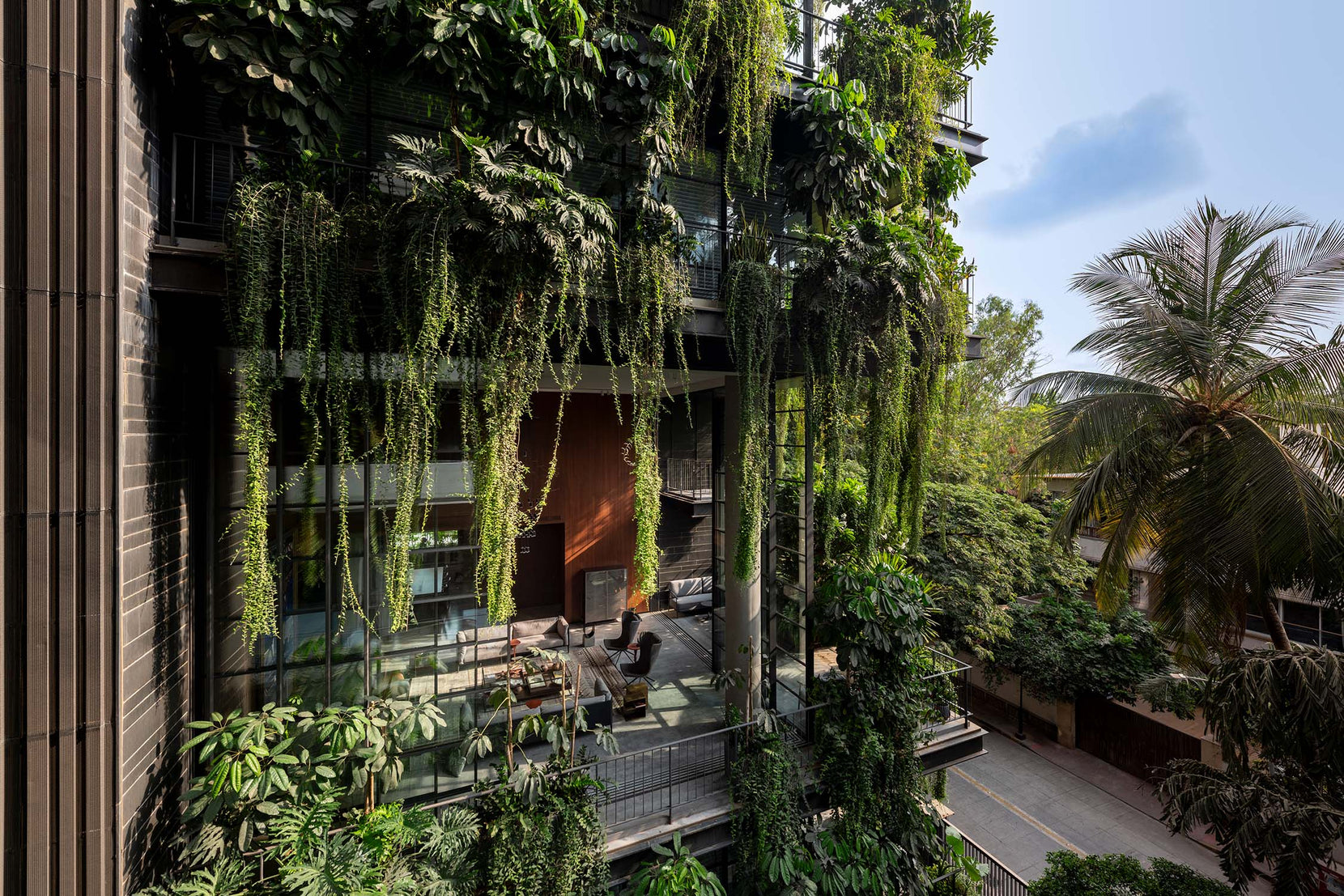 Terraces smothered in creepers, seating set out on the shaded deck below