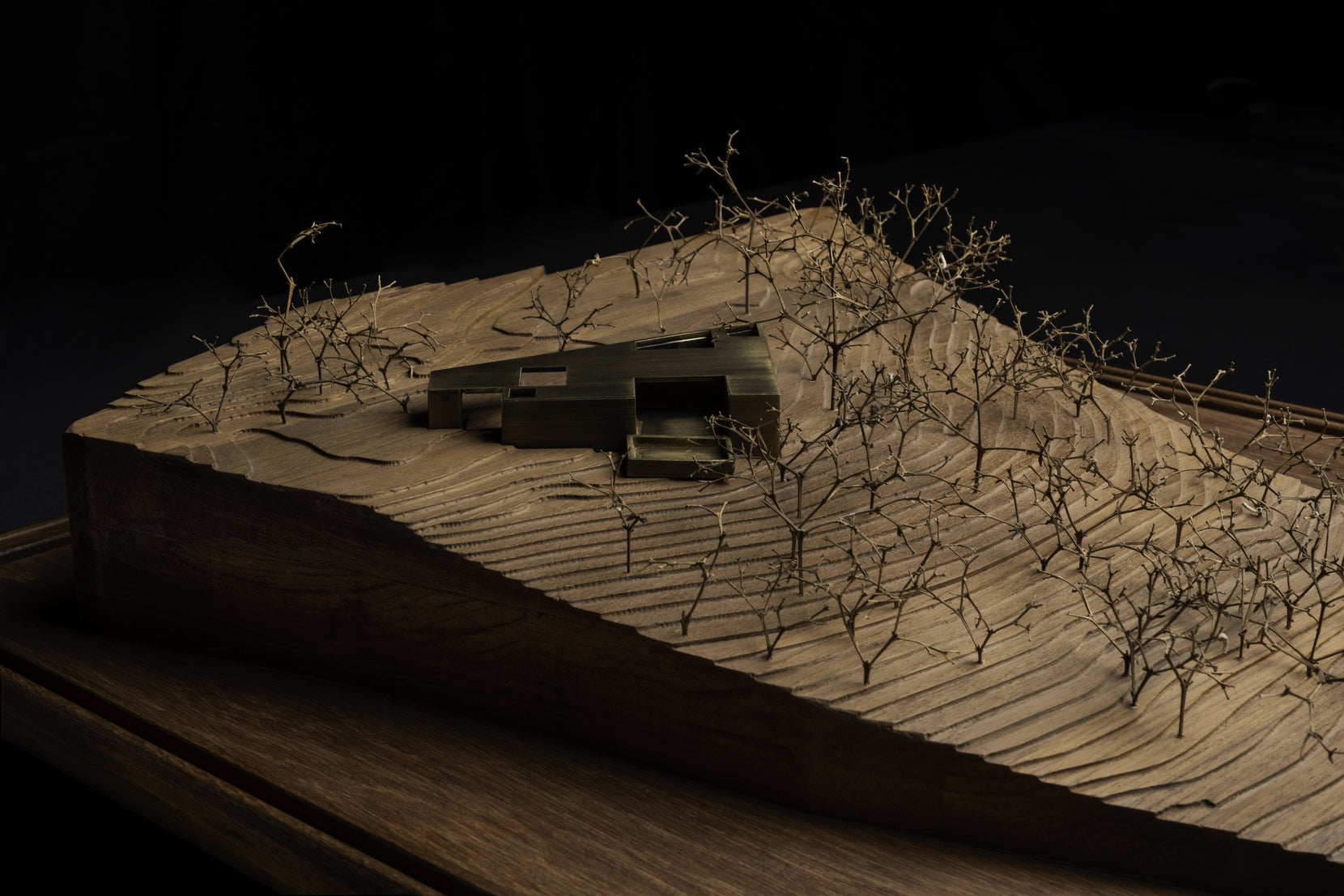 Study model carved from timber, the dark house embedded in the sloping ground