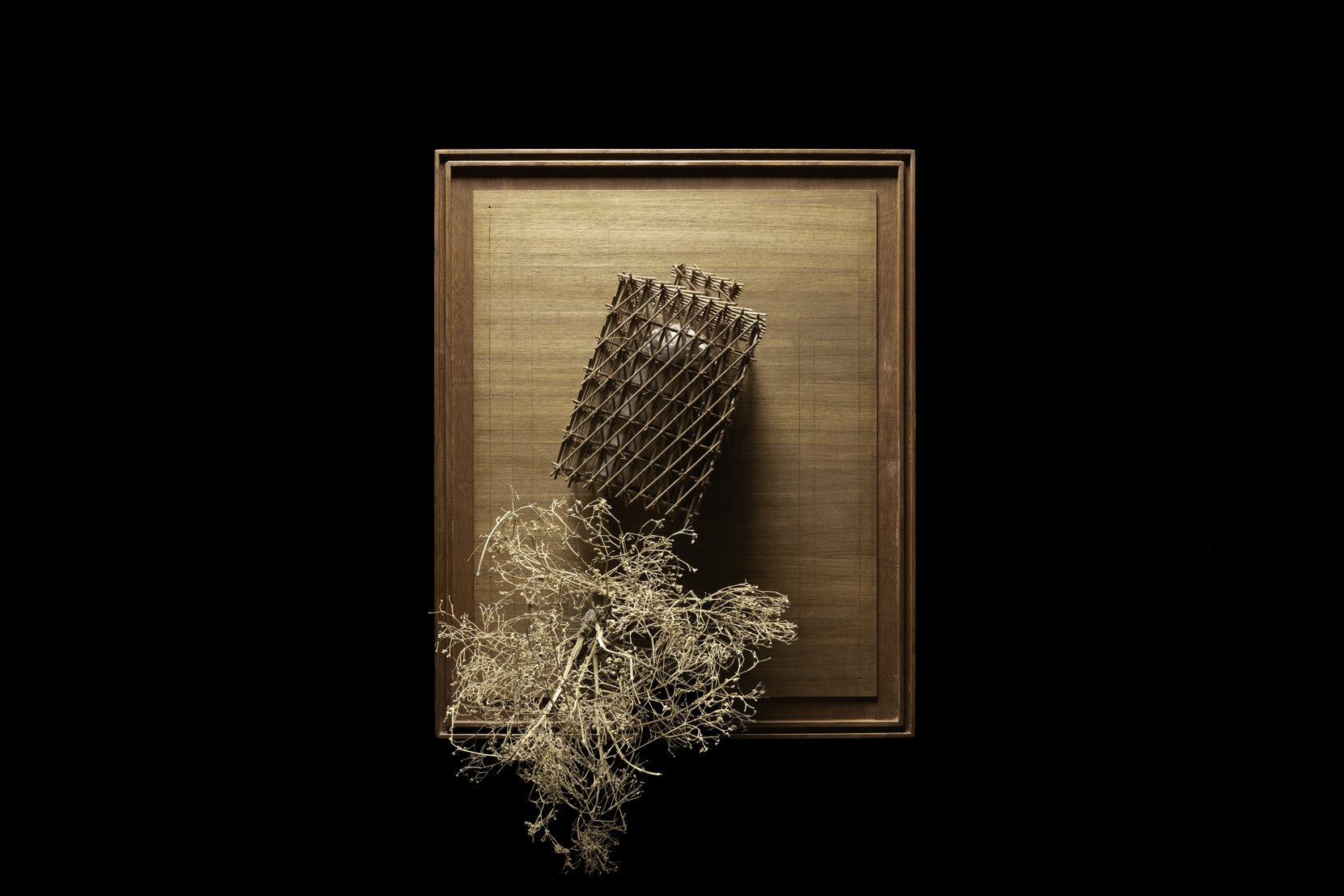 Framed study model, the lattice block tilted on its board with dried twigs spilling below