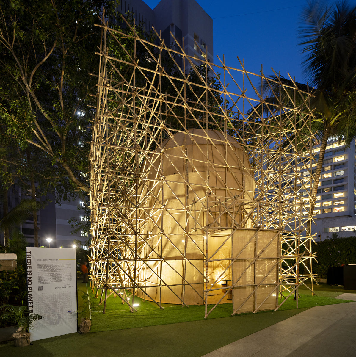 Bamboo scaffold and fabric shell caught in low evening sun beside the old tree