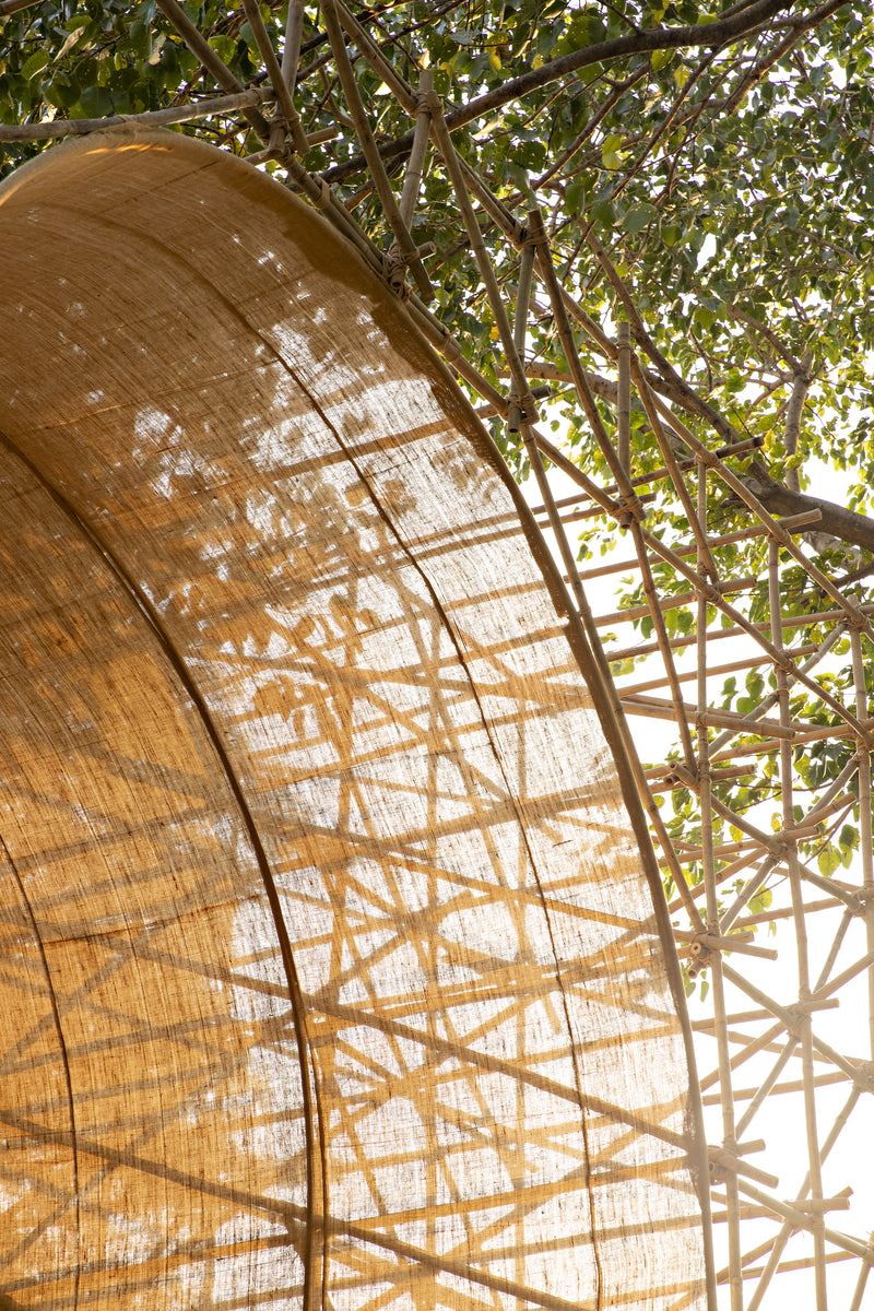 Sunlight throwing the bamboo lattice as shadows across the curved fabric vault