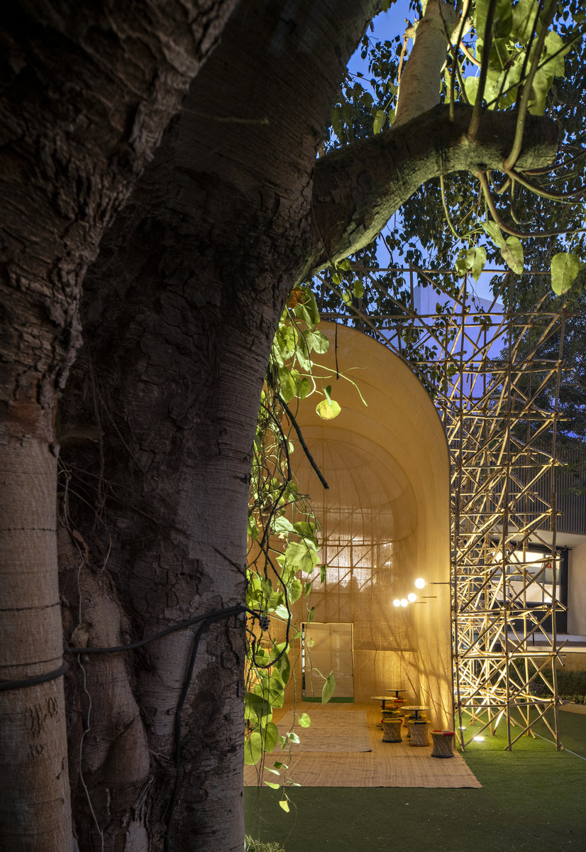 Tree trunk beside the glowing arched entrance, cane stools set out on the matting inside